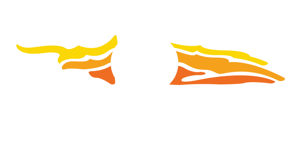 Driftwood
